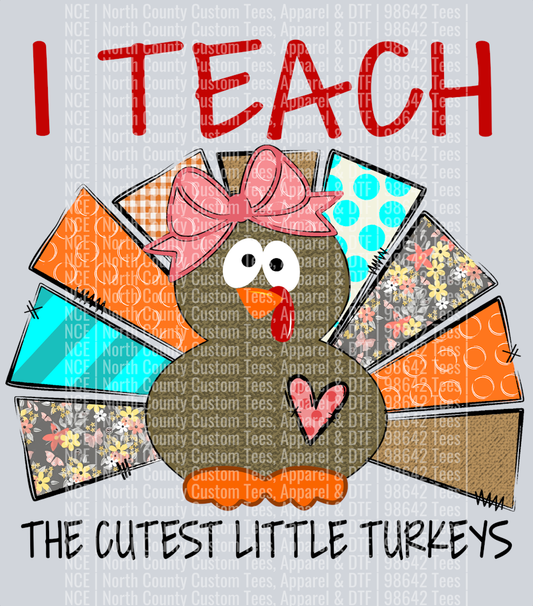 I Teach Little Turkeys 1 (12)