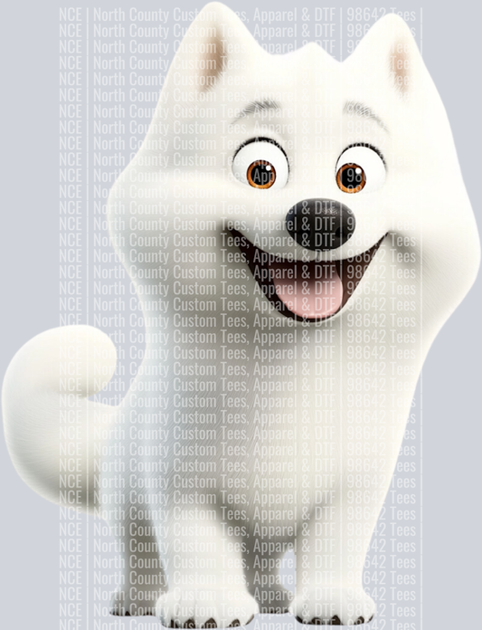 Samoyed (3)