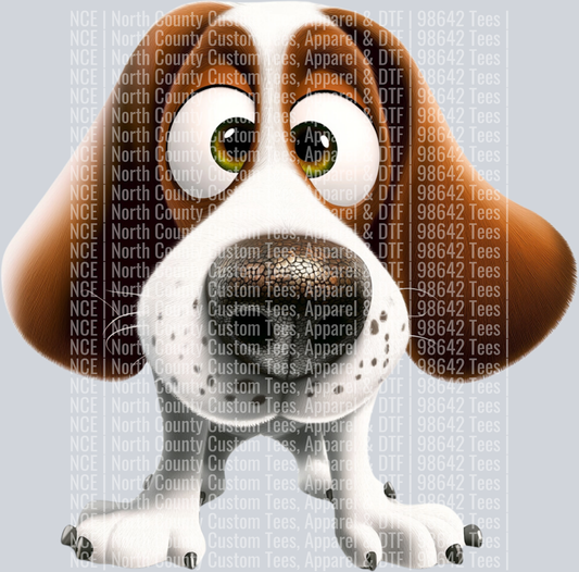 Basset Hound (3)