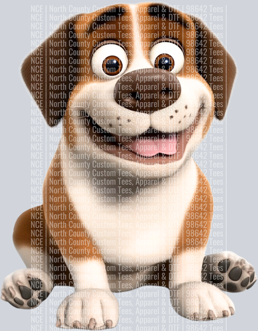 Saint Bernard (3)