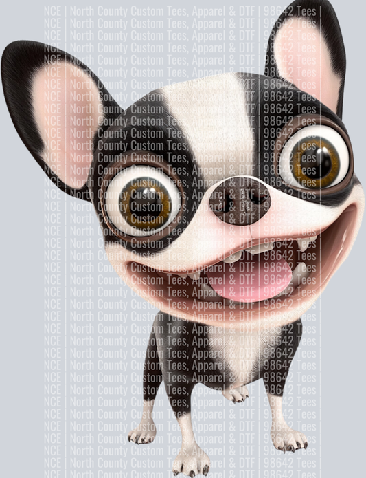 Boston Terrier
