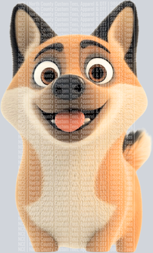 Akita (3)
