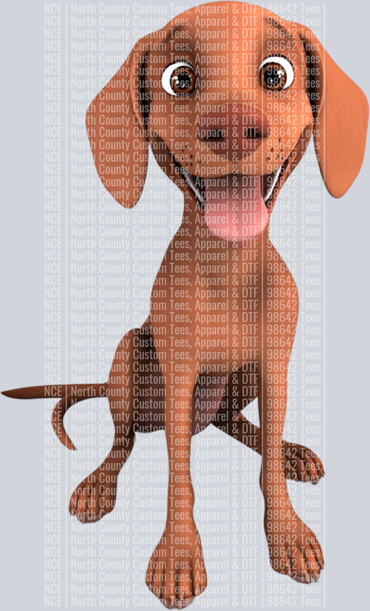 Vizsla