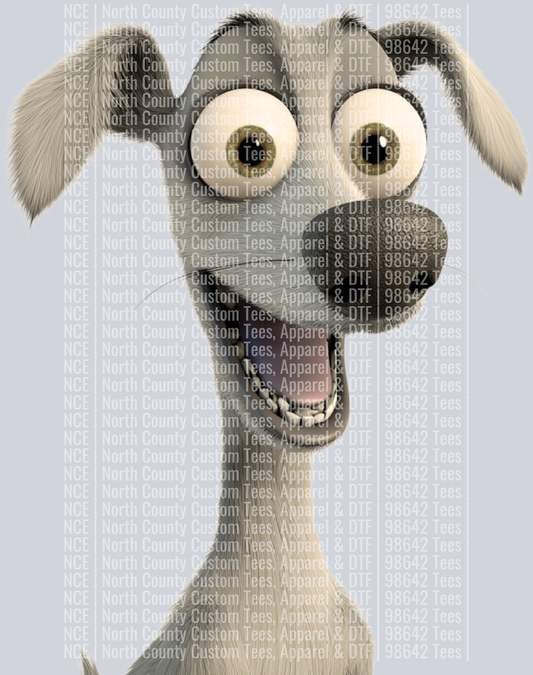 Whippet (3)