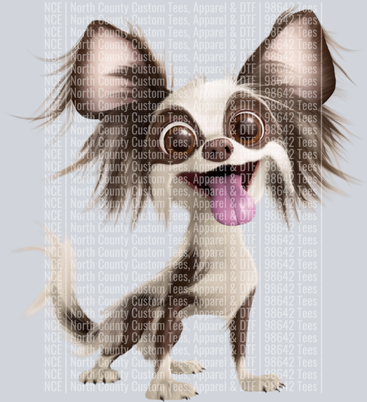 Chinese Crested (2)