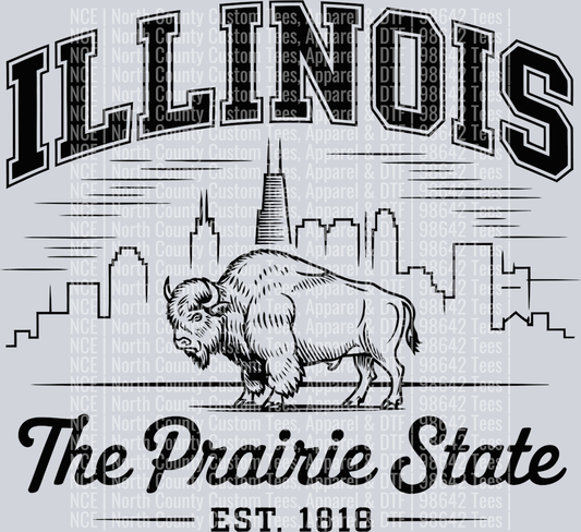 Illinois 11