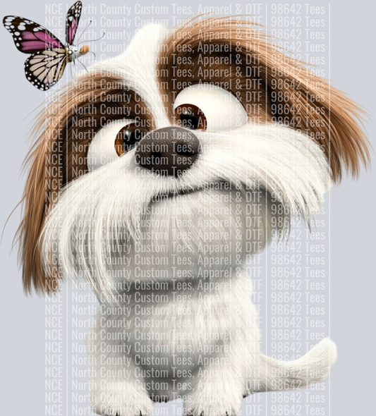 Shi Tzu