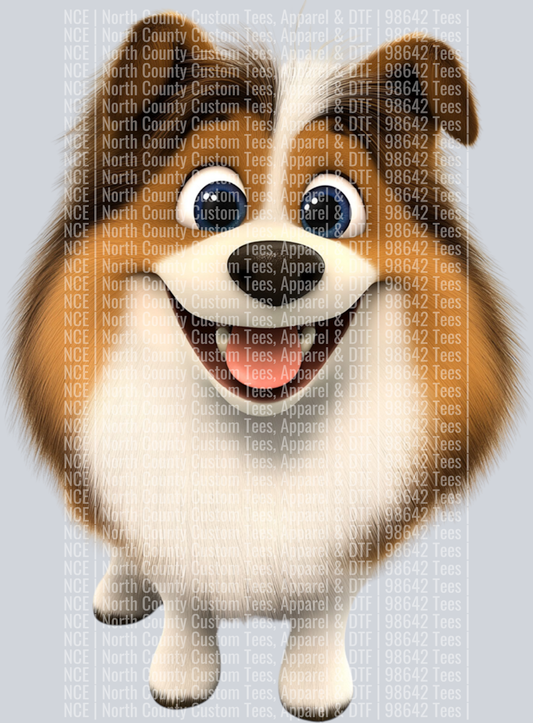 Sheltie_Shetland Sheepdog