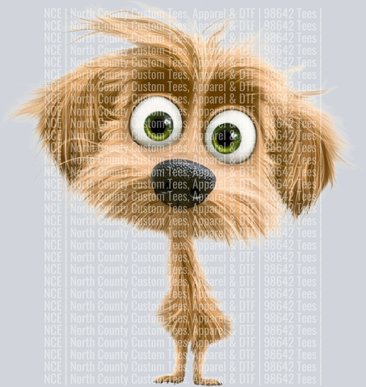 Mixed Breed1