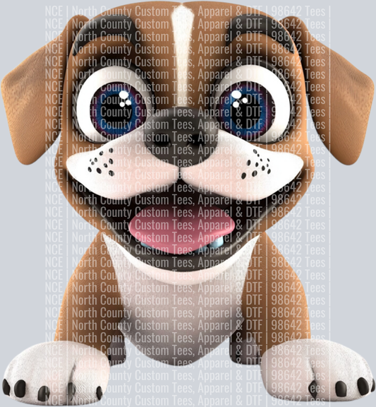Boxer