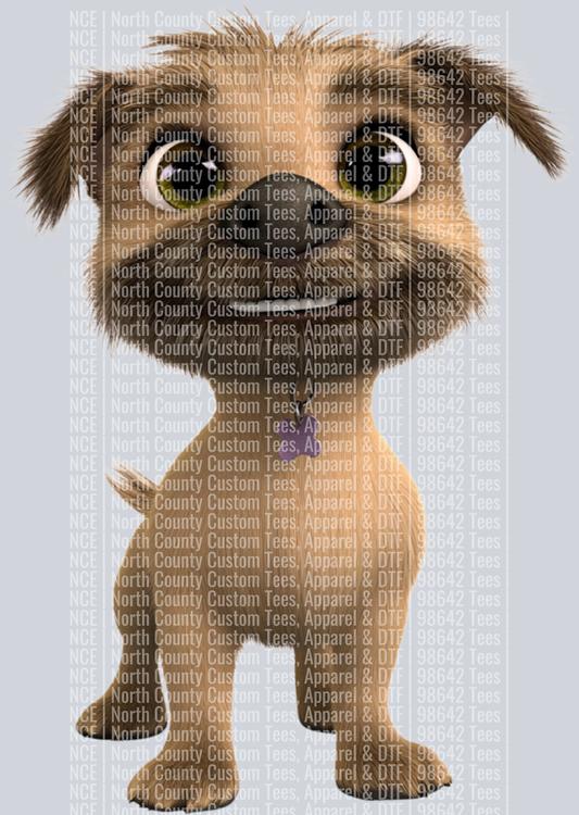 Border Terrier (2)