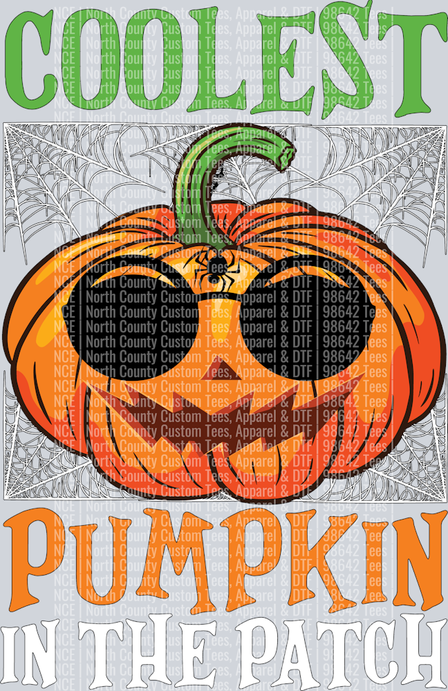 Coolest Pumpkin361
