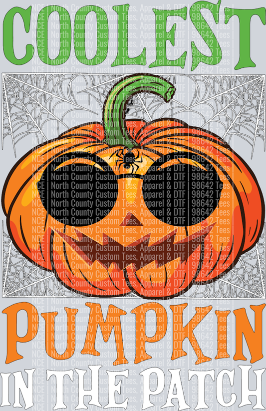 Coolest Pumpkin361