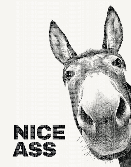 Nice Ass 1