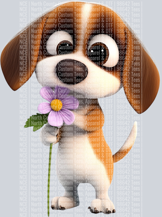 Beagle