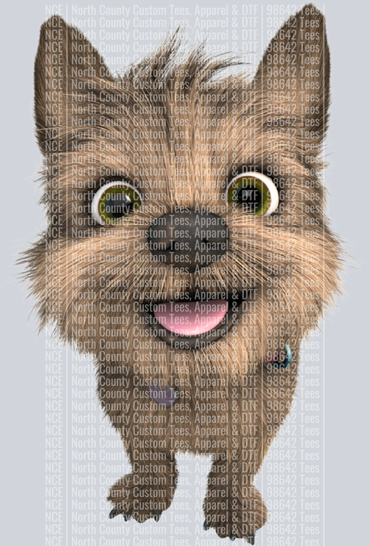 Cairn Terrier (3)