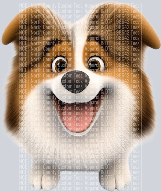 Sheltie_Shetland Sheepdog (2)