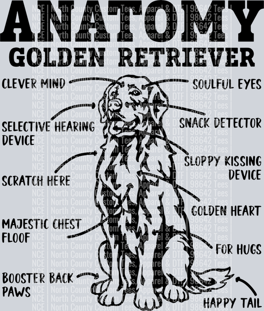 GOLDEN RETRIEVER 9