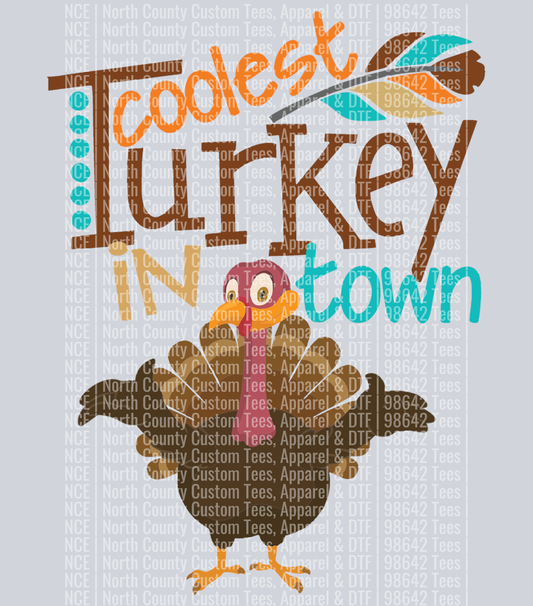Coolest Turkey in Town 1 (8)