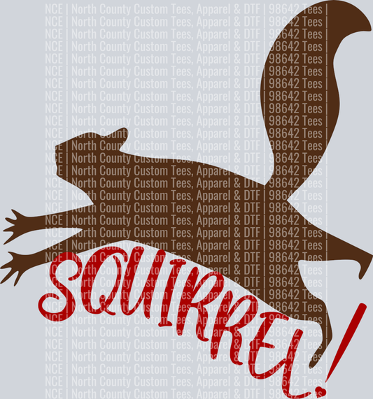 squirrel