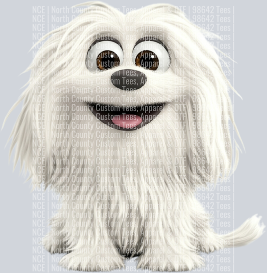 Havanese (2)