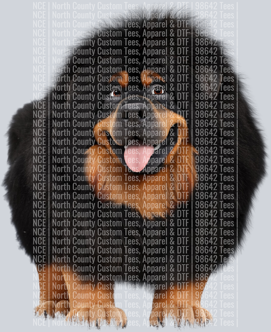 Tibetan Mastiff
