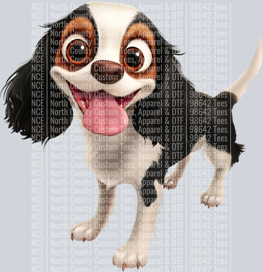 Cavalier King Charles Spaniel