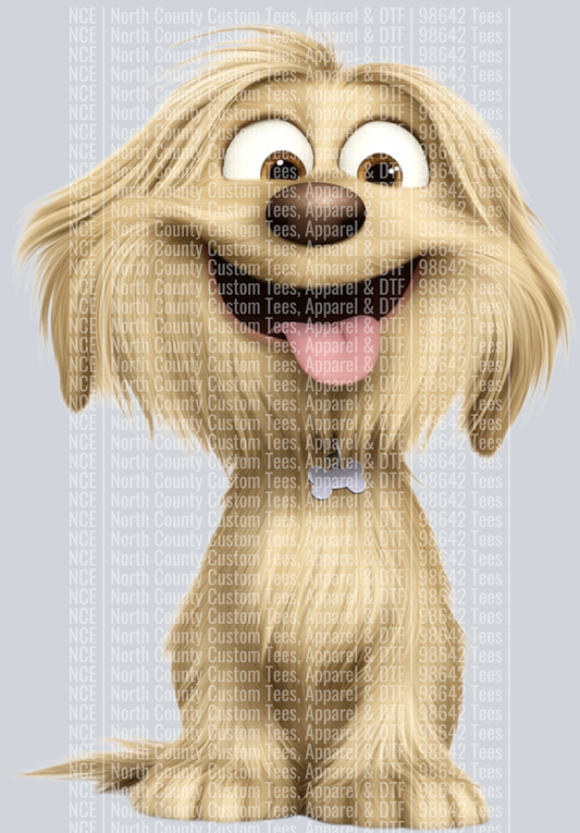 Havanese (4)