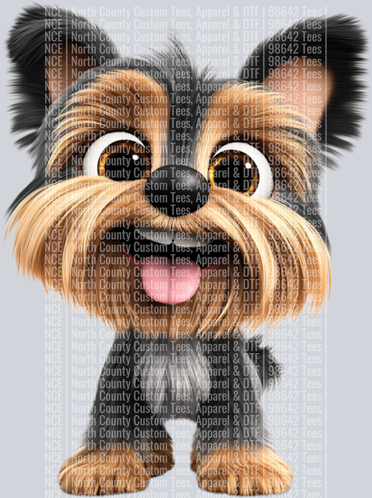 Yorkshire Terrier (4)
