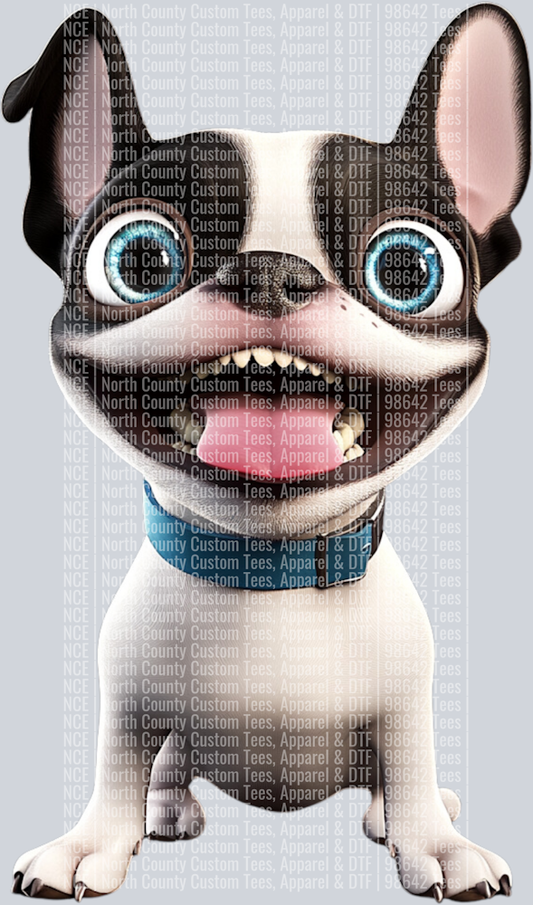 Boston Terrier (4)