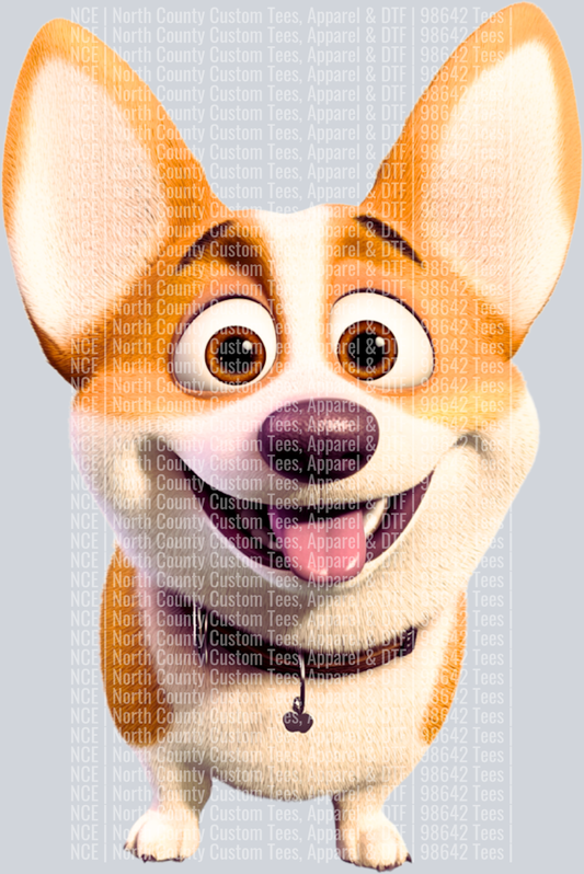 Pembroke Welsh Corgi (3)