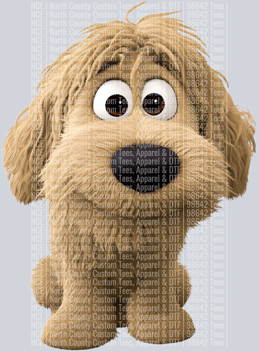 Labradoodle 2