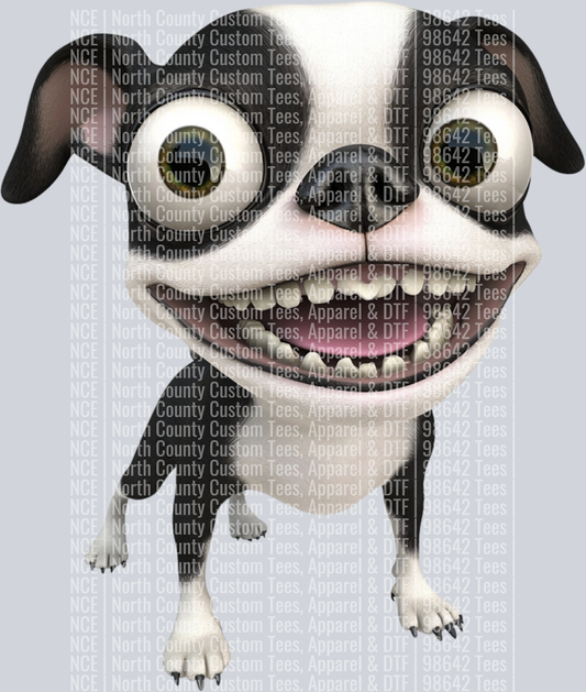Boston Terrier (2)