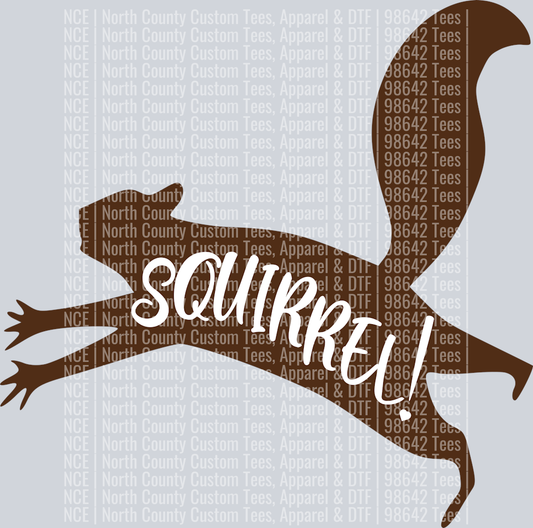 squirrel2