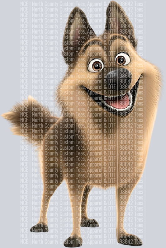 Belgian Tervuren (3)