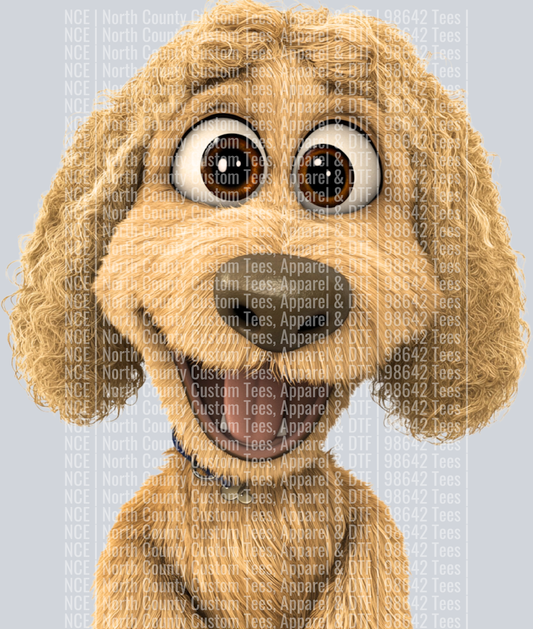 Labradoodle (3)